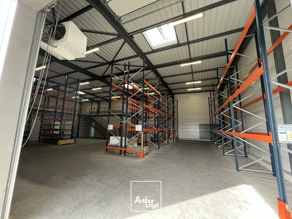 Locaux d'activité & Entrepôts - Location - WEYERSHEIM - 67720 - 574-574 - 7762667