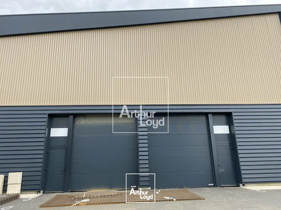 Locaux d'activité & Entrepôts - Location - MOISSY CRAMAYEL - 77550 - 409-409 - 7762715