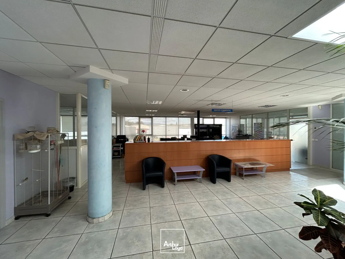 Locaux d'activité & Entrepôts - Location - PERPIGNAN - 66000 - 4267-4267 - 7763092