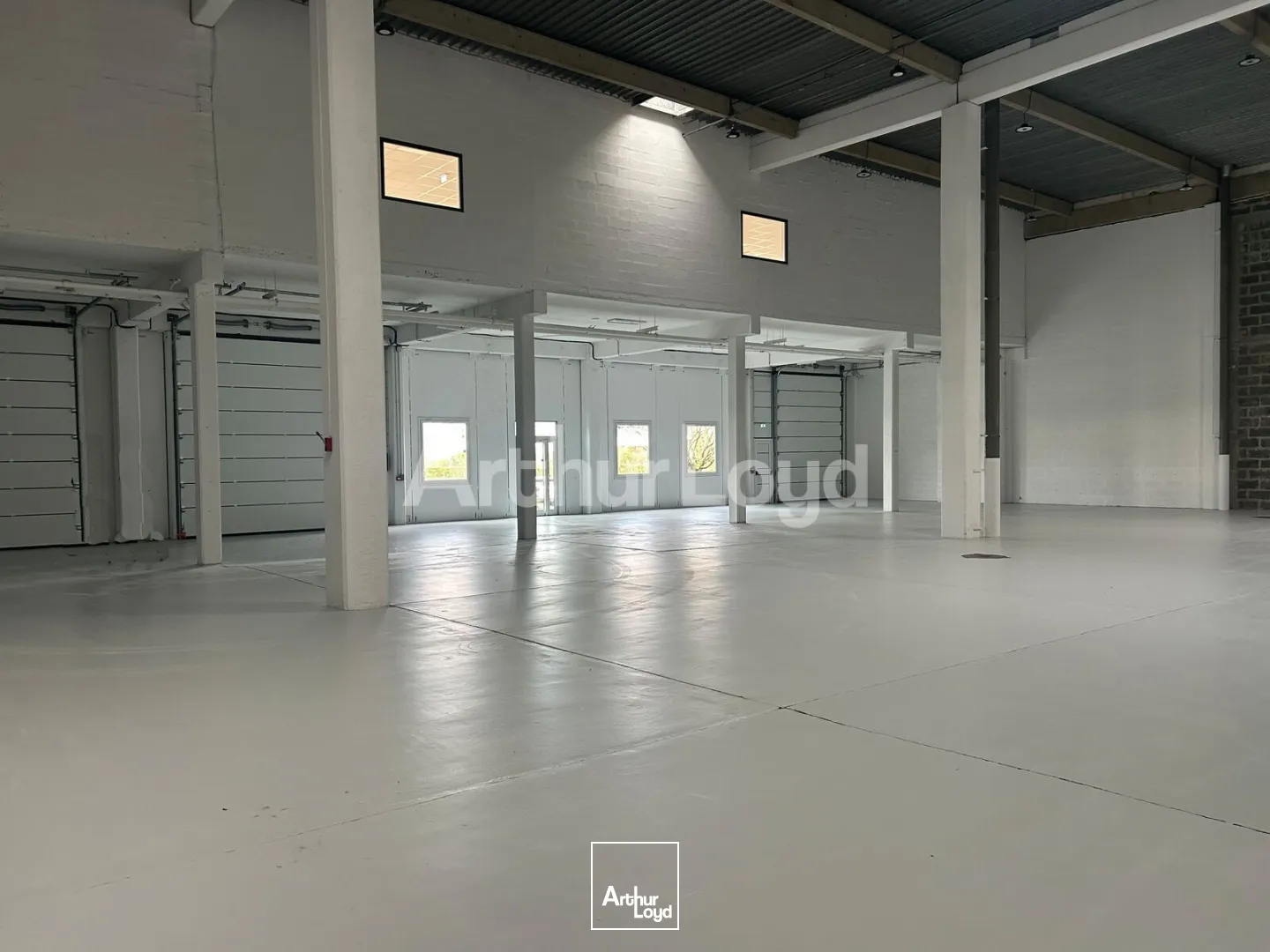 Locaux d'activité & Entrepôts - Location - VILLENEUVE D'ASCQ - 59650 - 233-2049 - 7763186