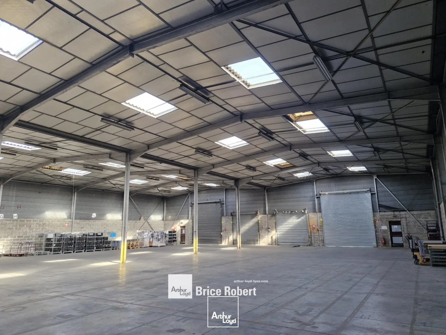 Locaux d'activité & Entrepôts - Vente - VAULX EN VELIN - 69120 - 1180-1180 - 7763387