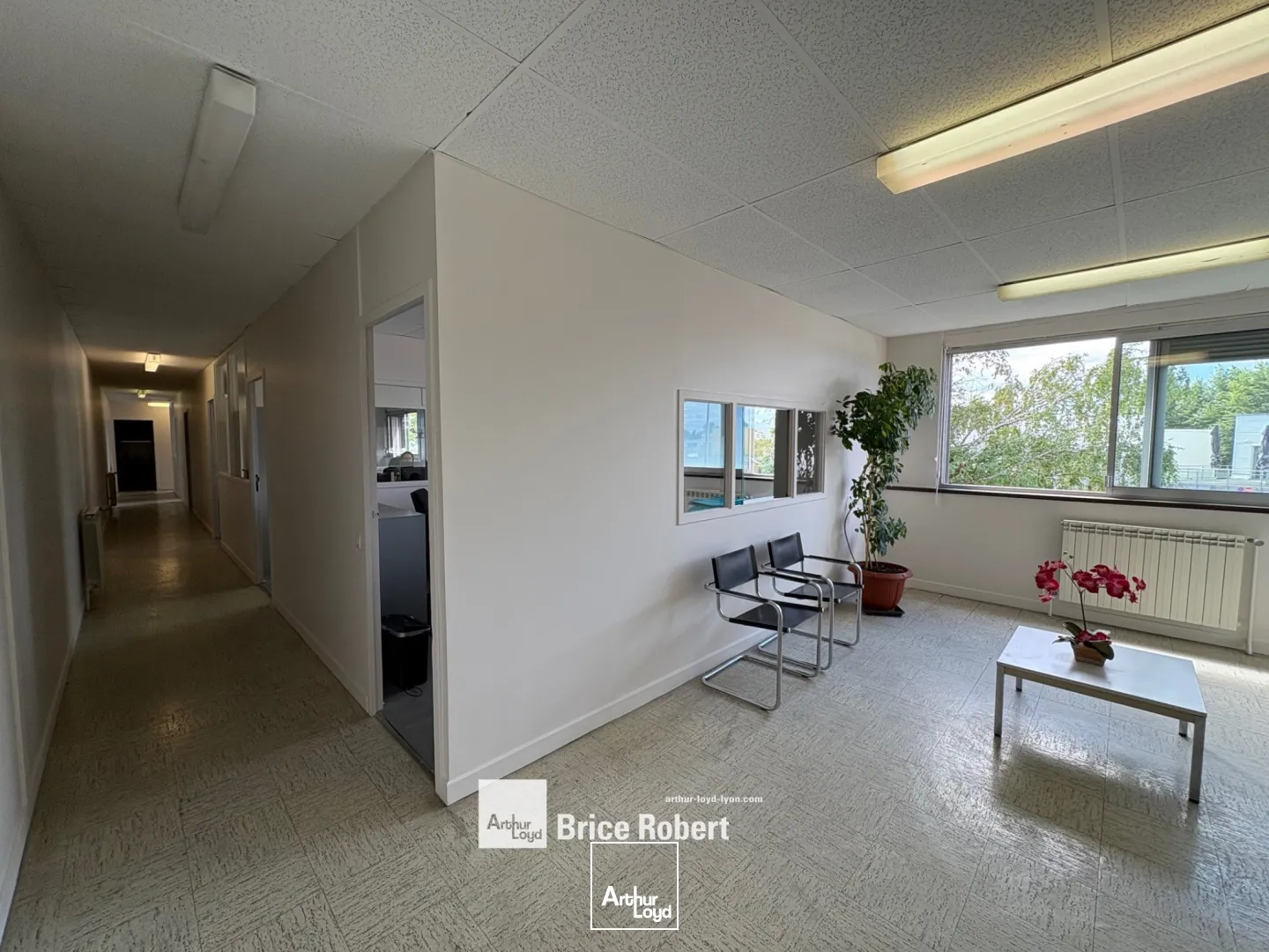 Locaux d'activité & Entrepôts - Vente - VAULX EN VELIN - 69120 - 1180-1180 - 7763392