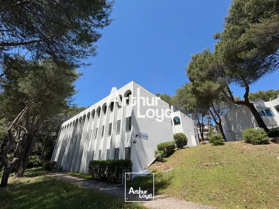 Bureaux - Vente - VALBONNE - 06560 - 200-200 - 7763582
