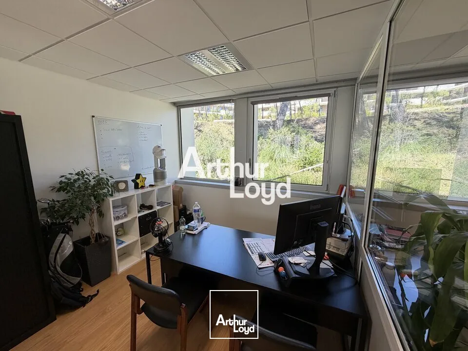Bureaux - Vente - VALBONNE - 06560 - 200-200 - 7763592
