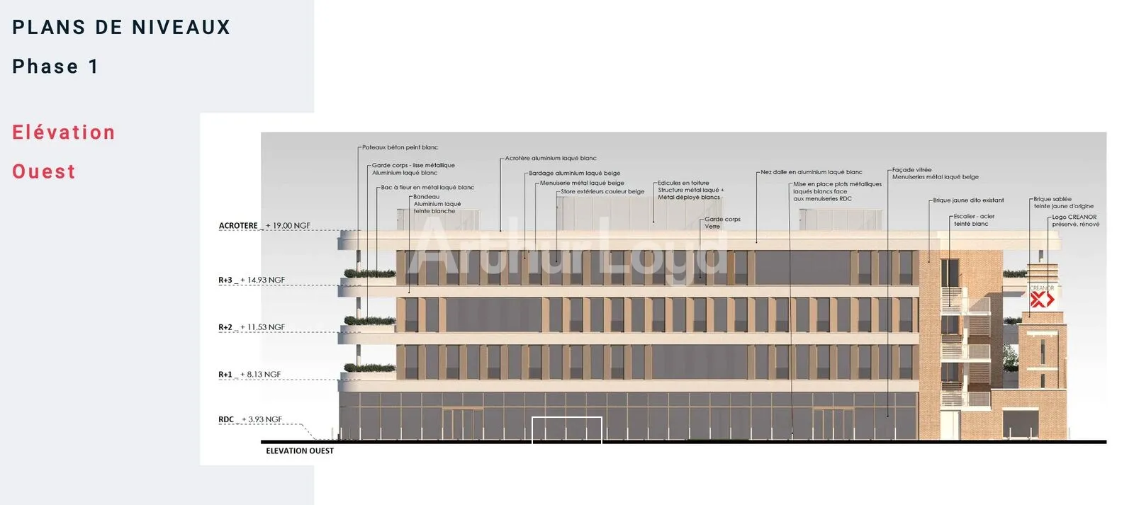 Bureaux - Location - COUDEKERQUE BRANCHE - 59210 - 2100-2100 - 7764187