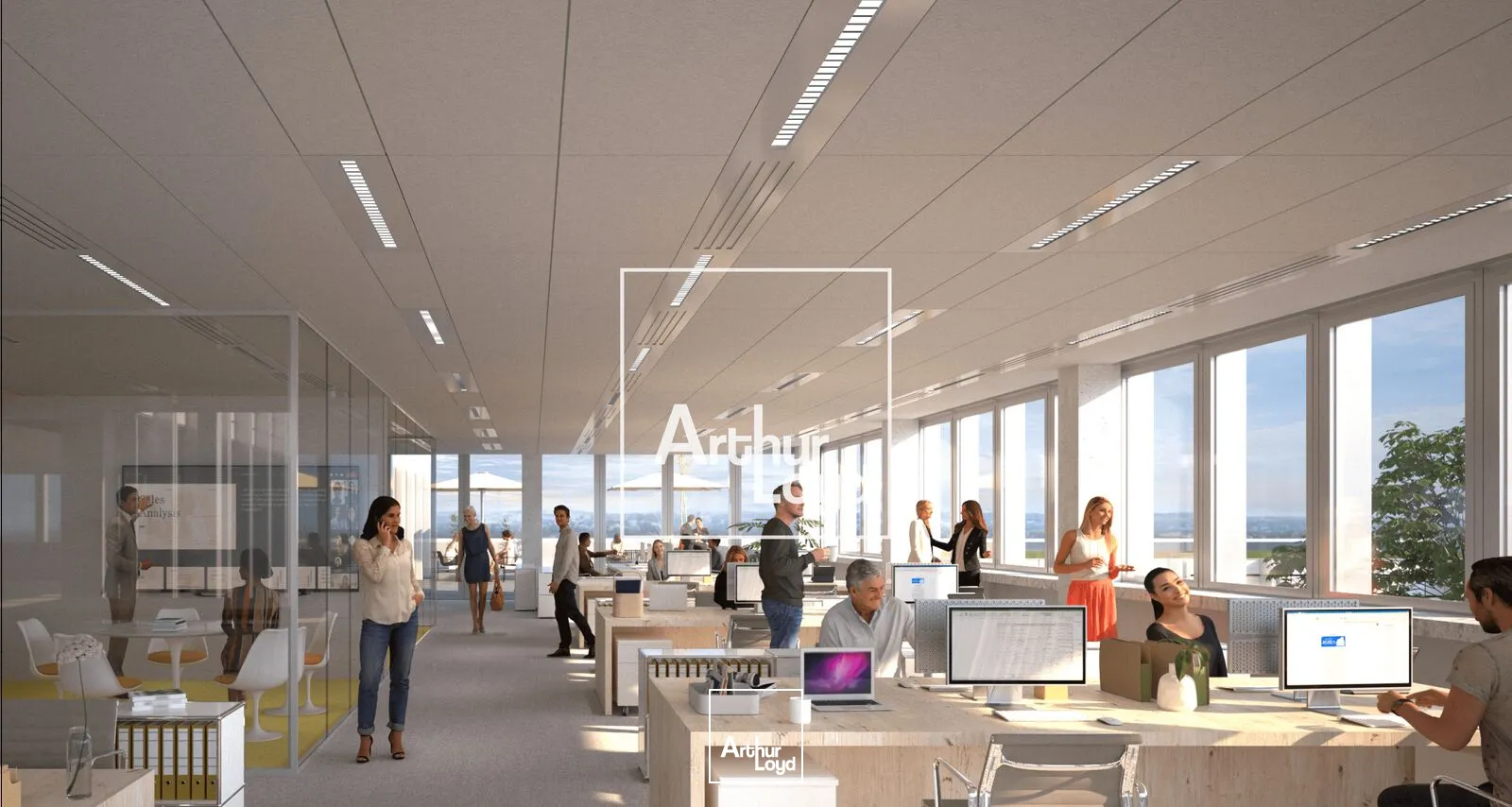 Bureaux - Location - TOULOUSE - 31400 - 84-10788 - 7764256