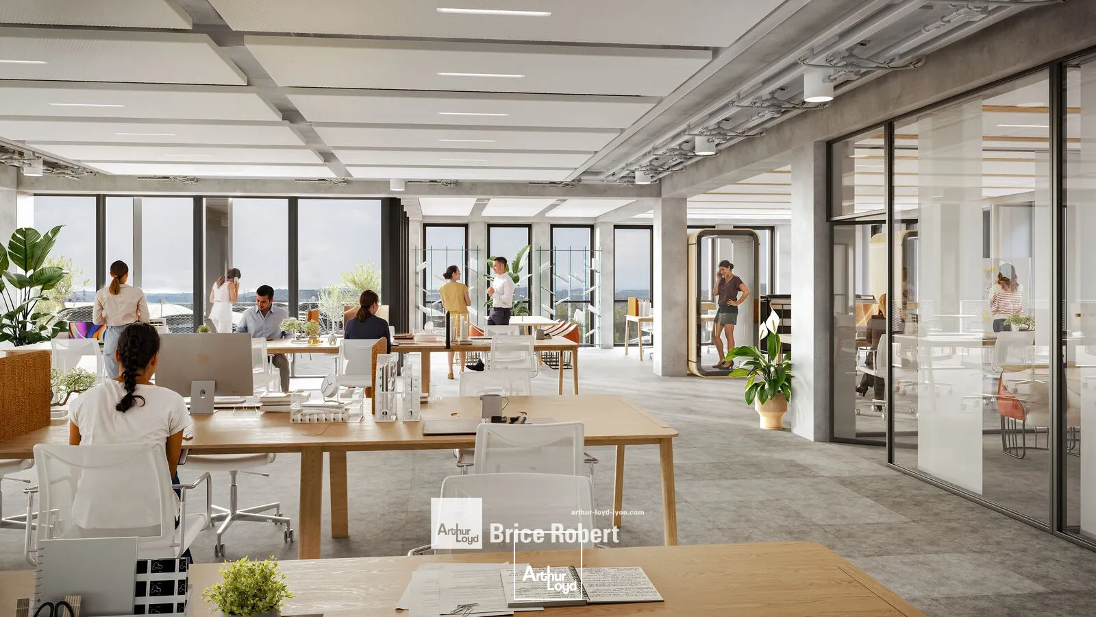 Bureaux - Location - LYON - 69007 - 2500-17187 - 7764348
