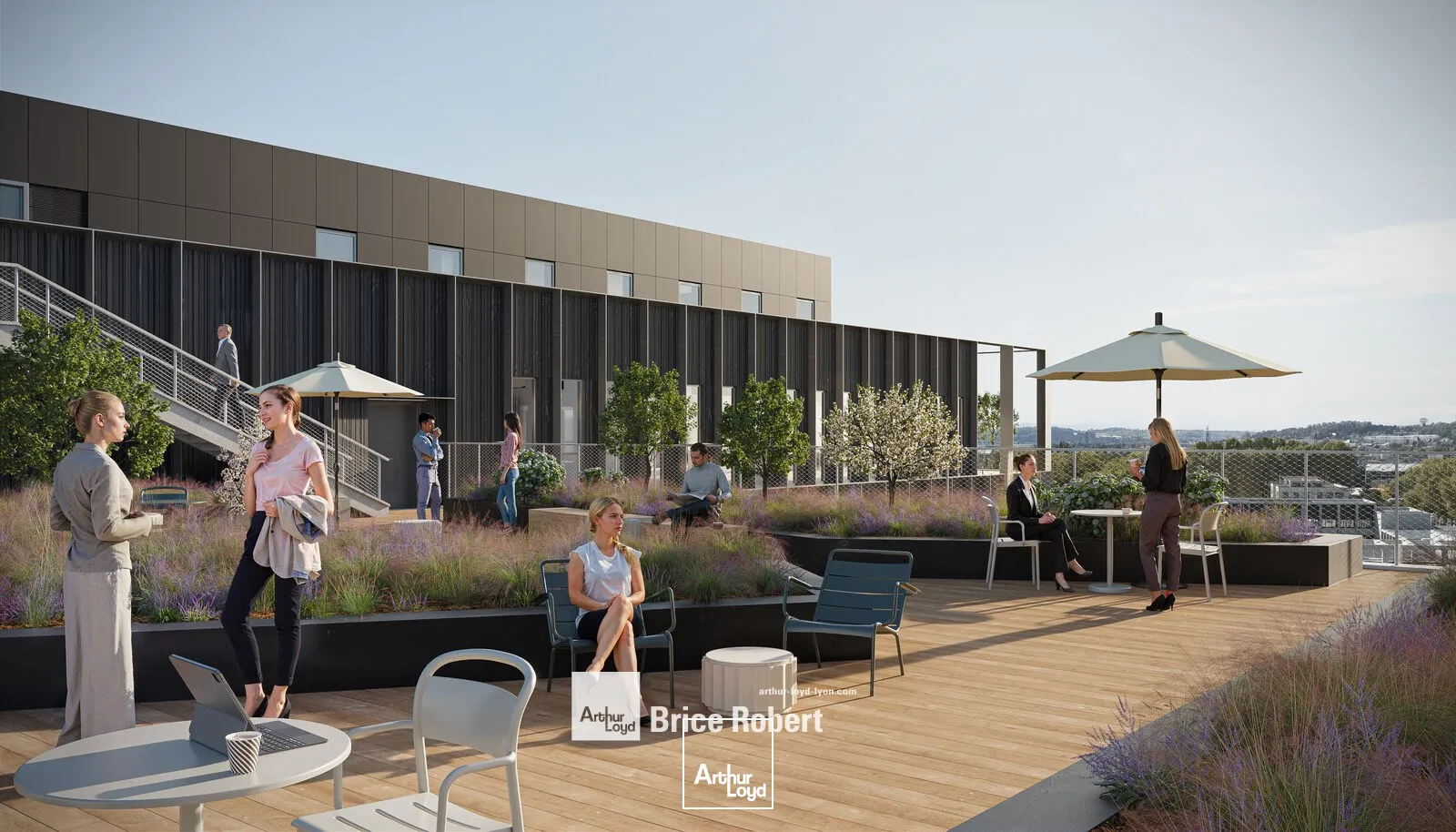 Bureaux - Location - LYON - 69007 - 2500-17187 - 7764350