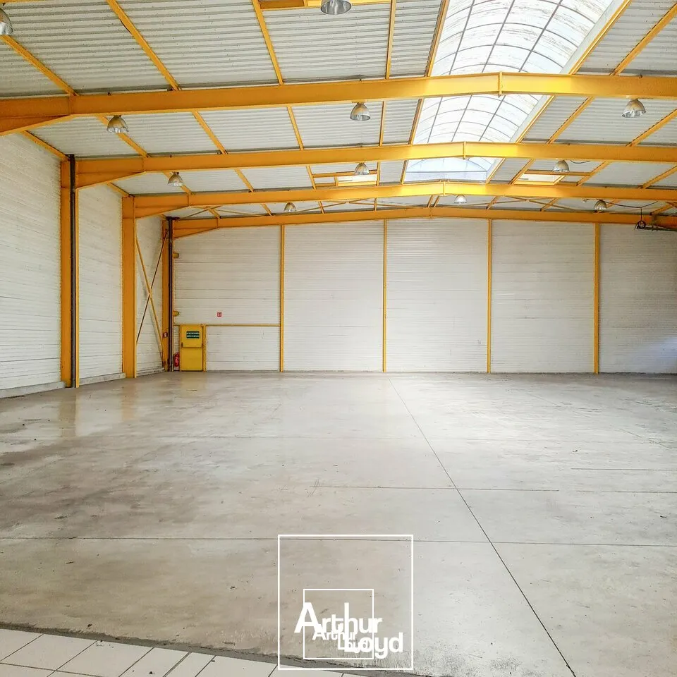 Locaux d'activité & Entrepôts - Location - BRIVE-LA-GAILLARDE - 19100 - 1280-1280 - 7764503