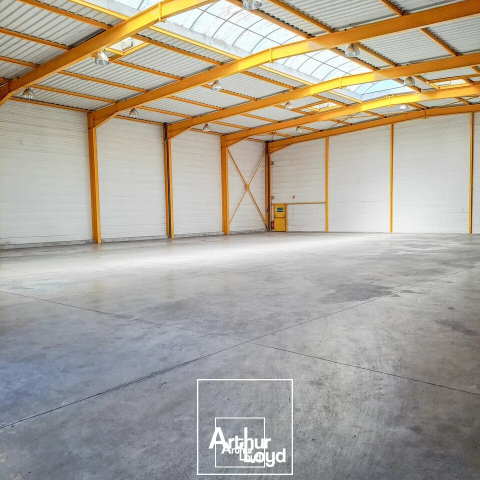 Locaux d'activité & Entrepôts - Location - BRIVE-LA-GAILLARDE - 19100 - 1280-1280 - 7764505