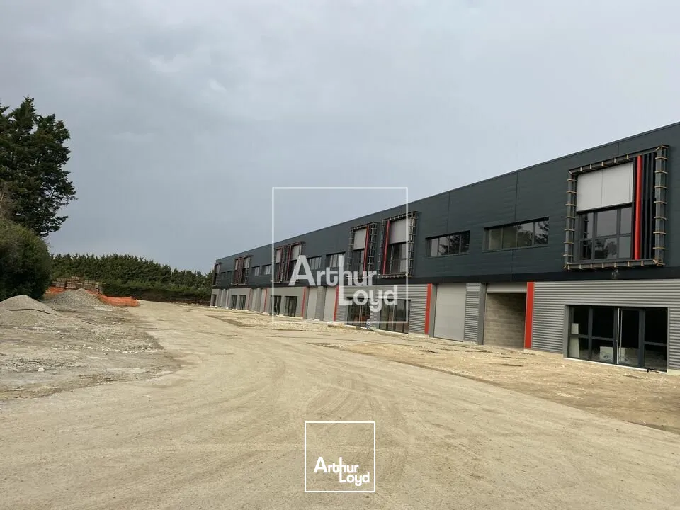 Locaux d'activité & Entrepôts - Location - AVRAINVILLE - 91630 - 424-9527 - 7764526