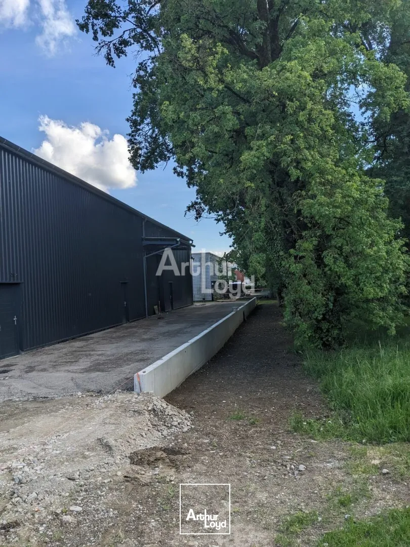 Locaux d'activité & Entrepôts - Location - ENTRELACS - 73410 - 160-490 - 7764842