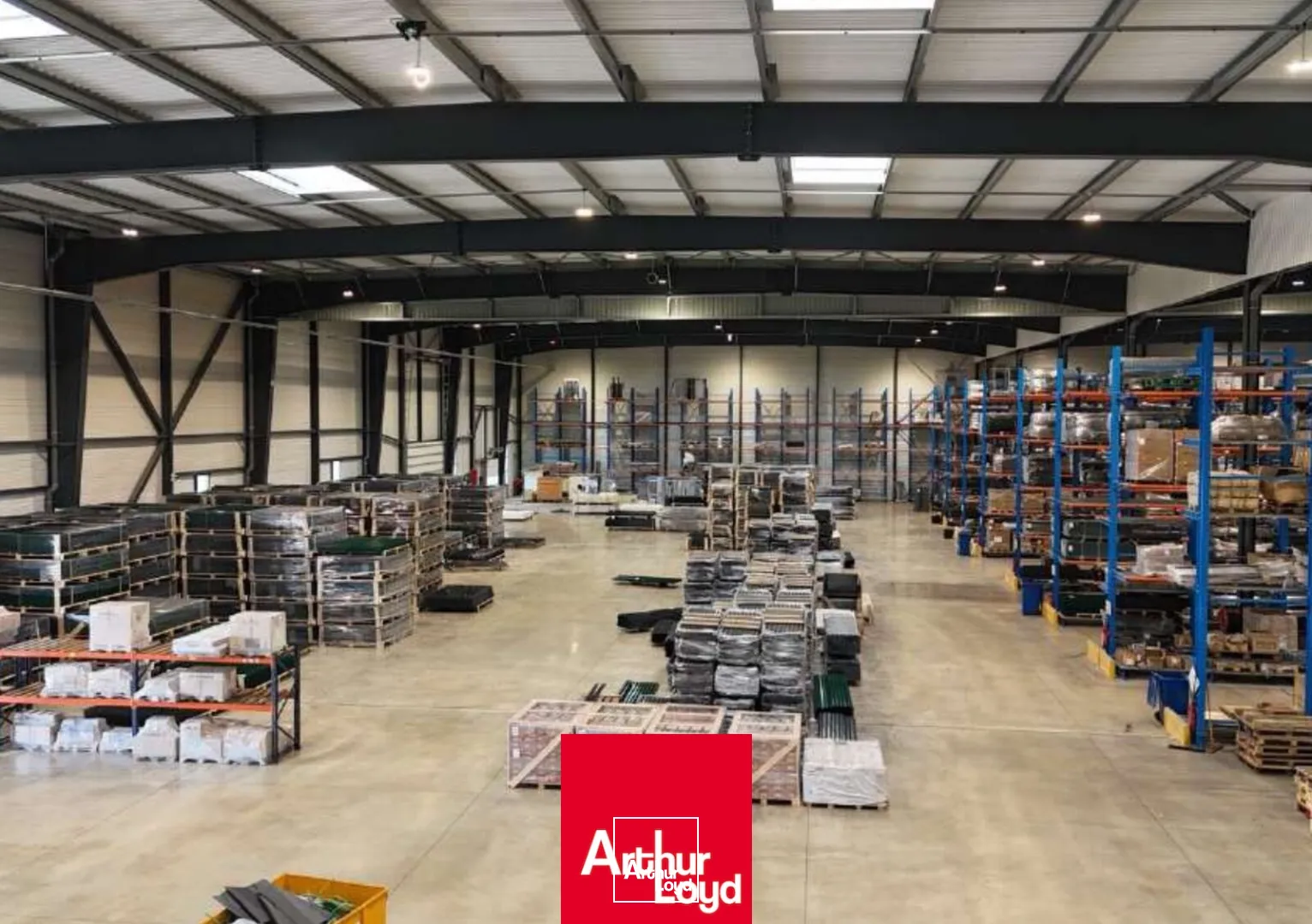 Locaux d'activité & Entrepôts - Location - BELLEVILLE-EN-BEAUJOLAIS - 69220 - 6200-6200 - 7764958