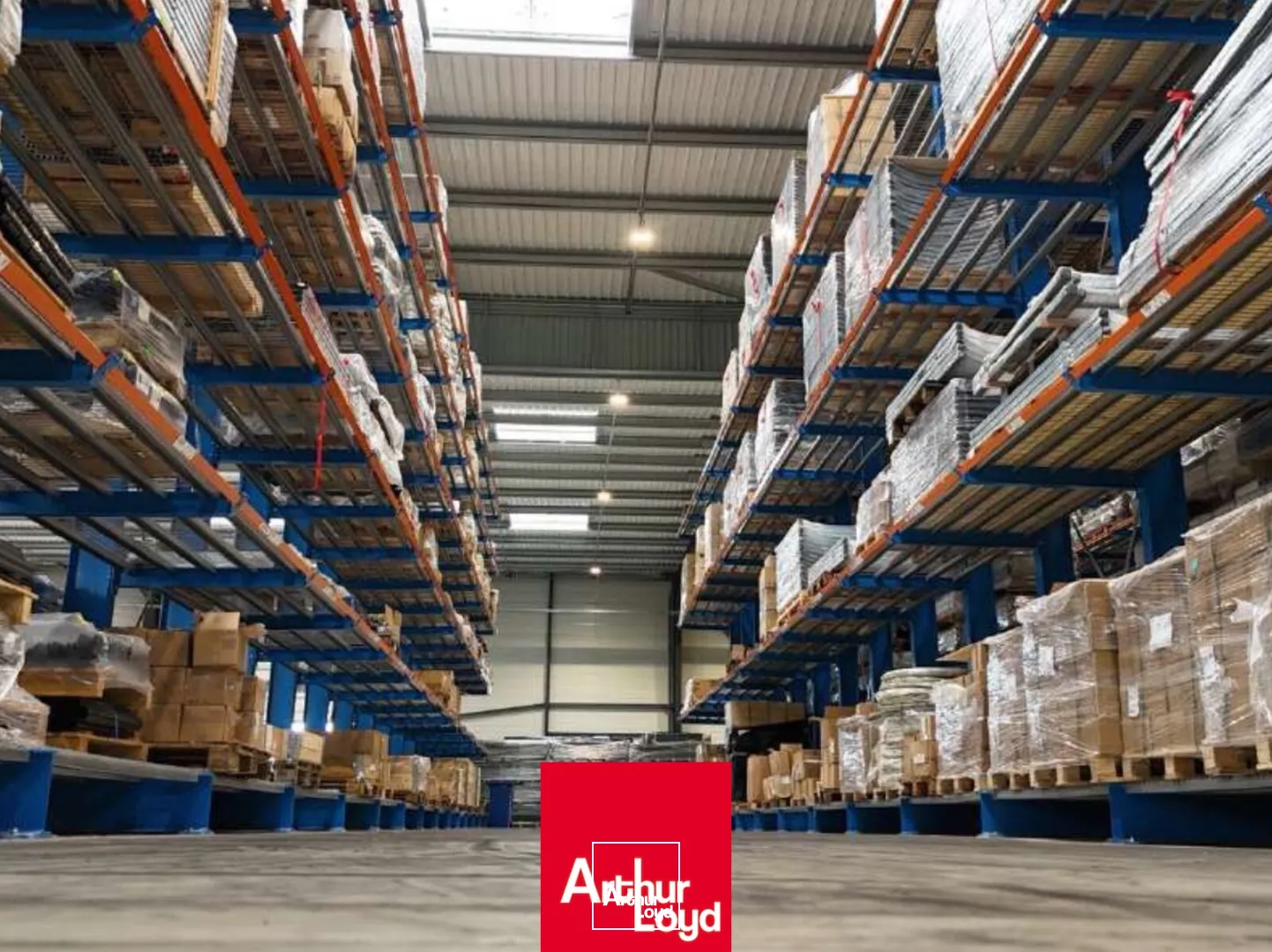 Locaux d'activité & Entrepôts - Location - BELLEVILLE-EN-BEAUJOLAIS - 69220 - 6200-6200 - 7764959