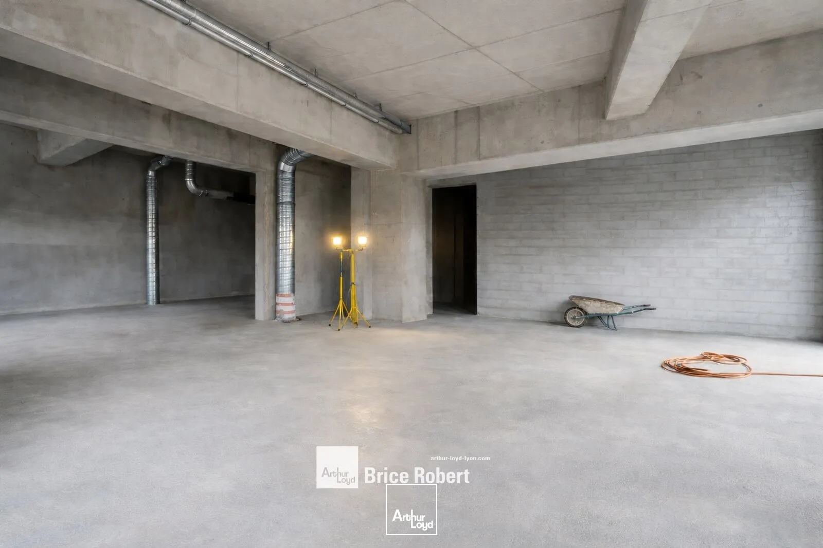 Locaux d'activité & Entrepôts - Vente - VILLEURBANNE - 69100 - 113.8-113.8 - 7765299
