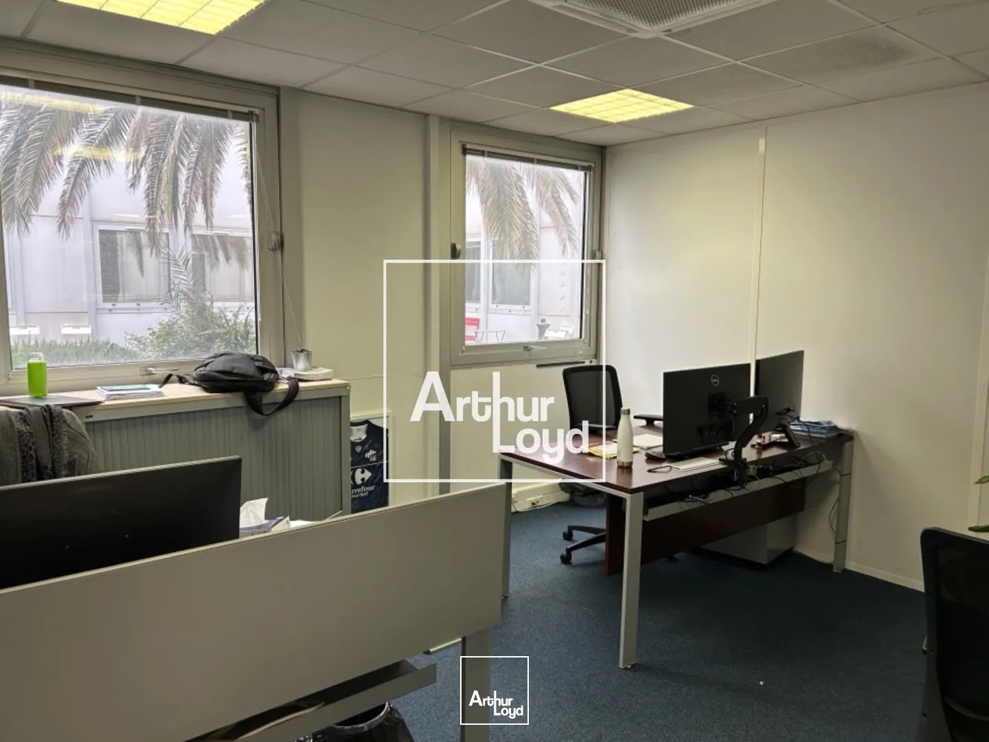 Bureaux - Location - LABEGE - 31670 - 296-296 - 7767991