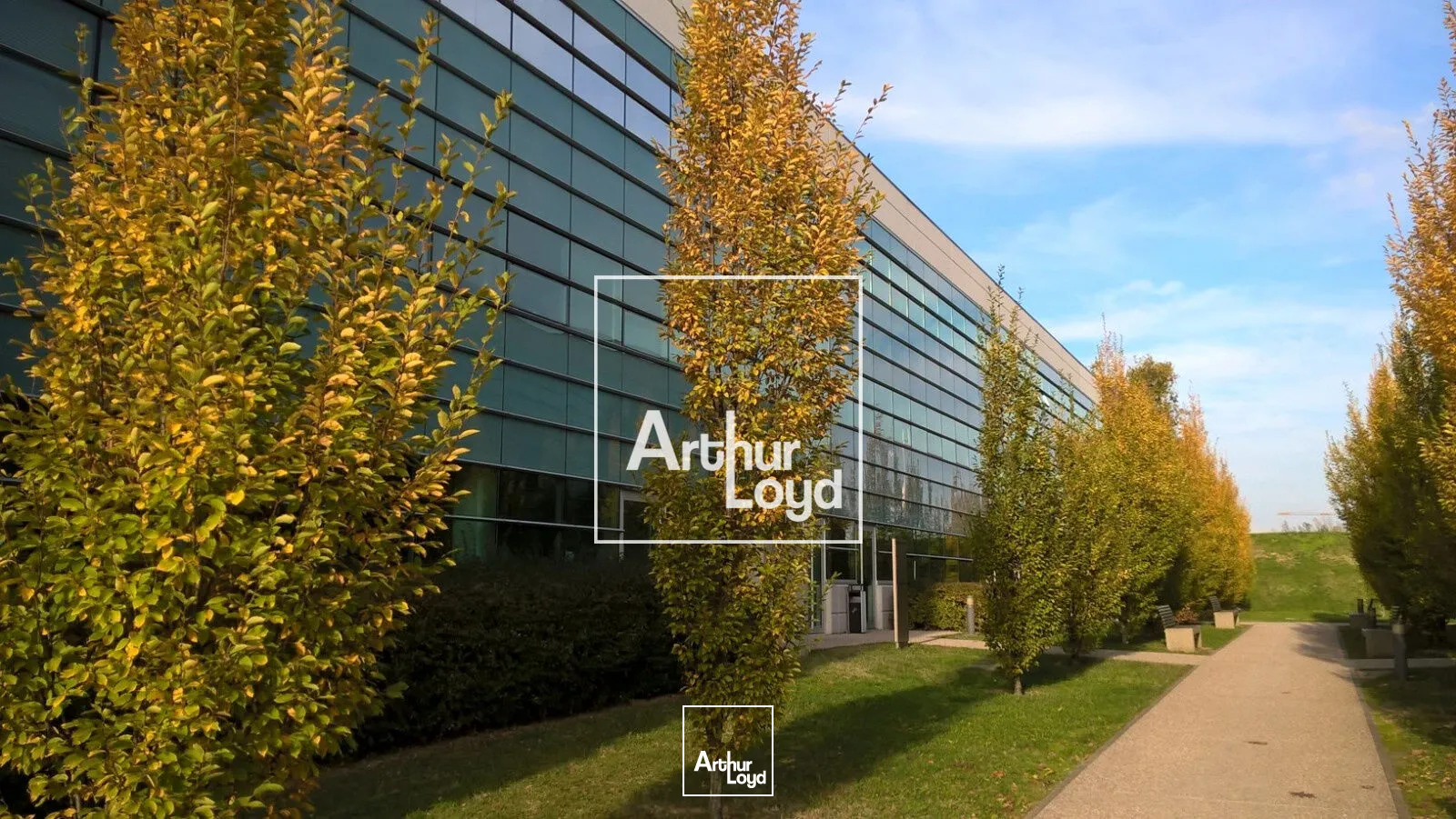 Bureaux - Location - LABEGE - 31670 - 212-800 - 7768005