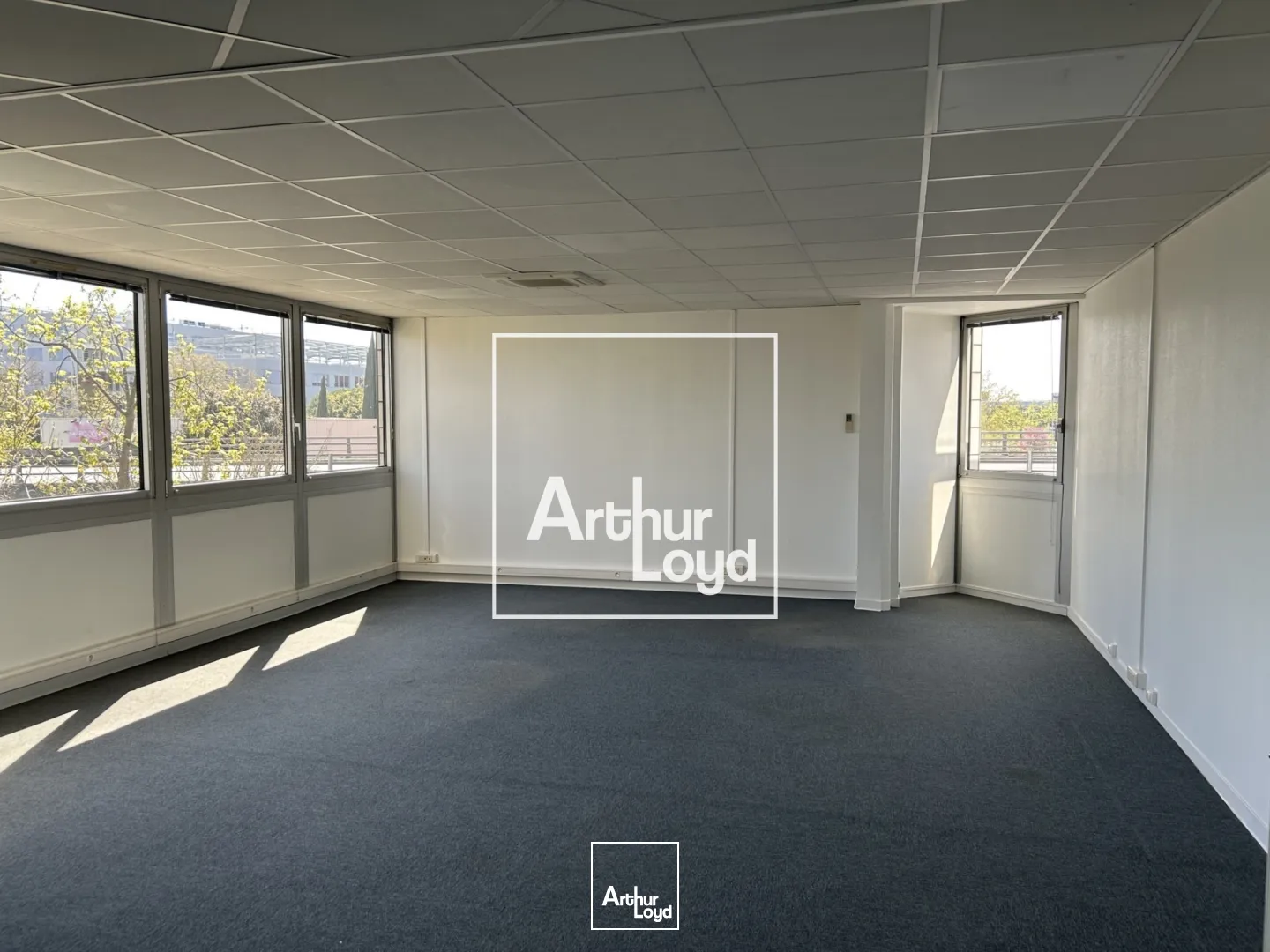 Bureaux - Location - BLAGNAC - 31700 - 70-1292 - 7768209