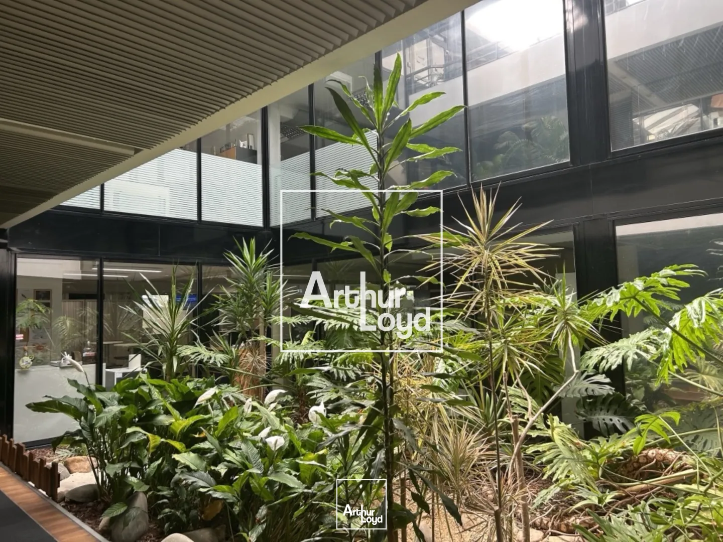 Bureaux - Location - TOULOUSE - 31100 - 382-382 - 7768272