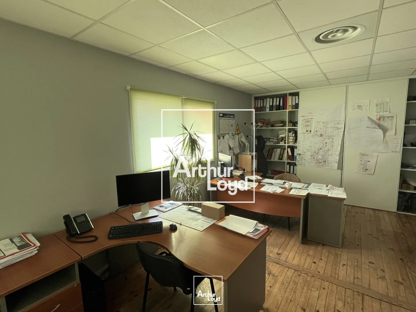 Locaux d'activité & Entrepôts - Location - SAINT JEAN - 31240 - 505-505 - 7768412