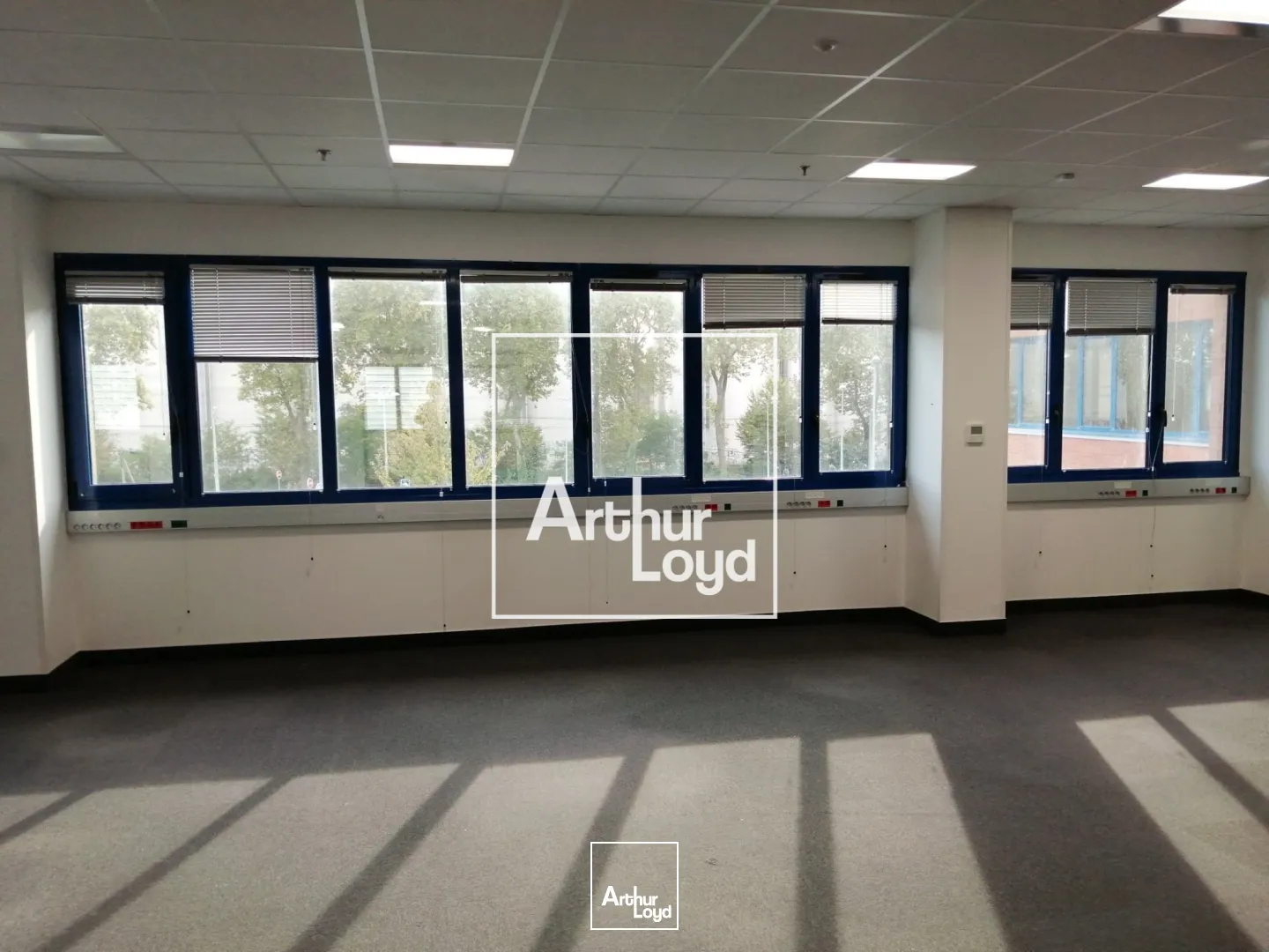 Locaux d'activité & Entrepôts - Location - BAZIEGE - 31450 - 6331-6331 - 7768451