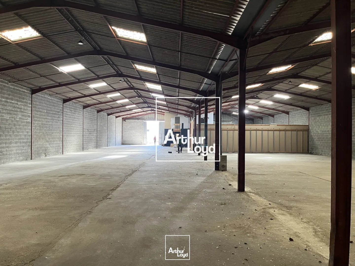 Locaux d'activité & Entrepôts - Location - SAINT ALBAN - 31140 - 1200-1200 - 7768483
