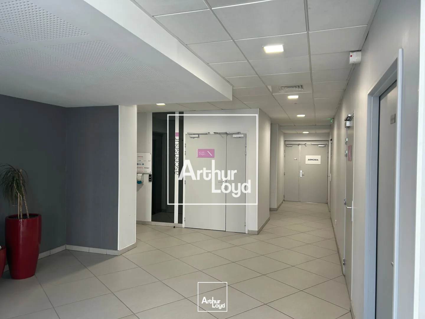 Bureaux - Location - BALMA - 31130 - 155-577 - 7768504