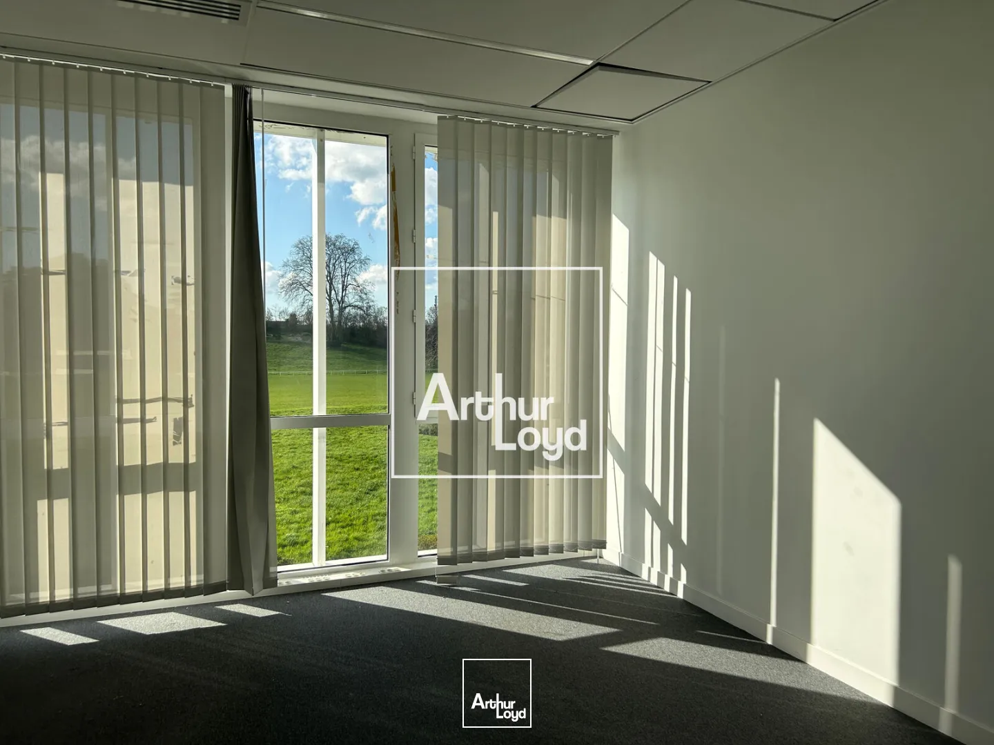 Bureaux - Location - TOULOUSE - 31300 - 165-165 - 7768523