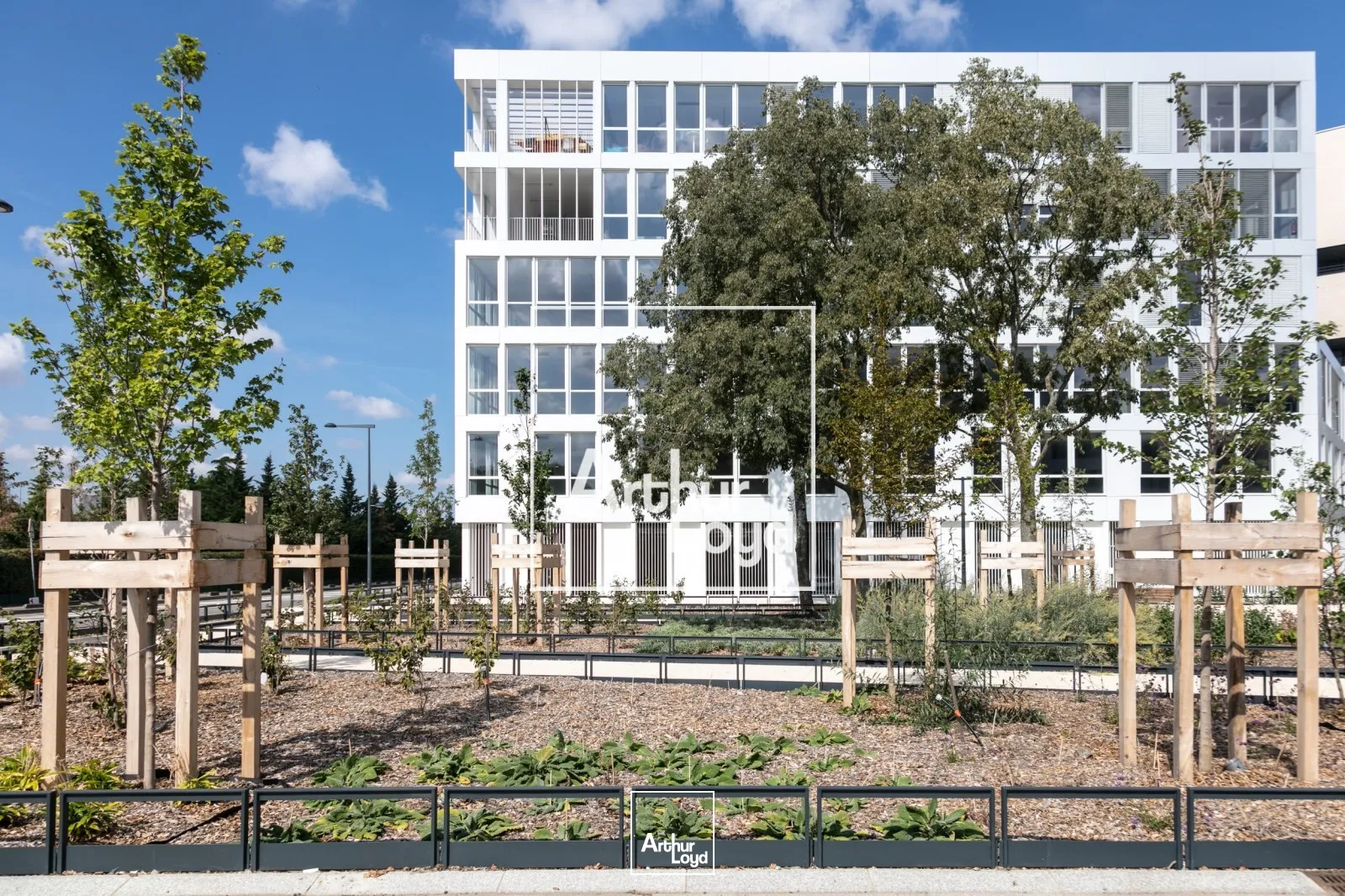 Bureaux - Location - TOULOUSE - 31300 - 165-165 - 7768520