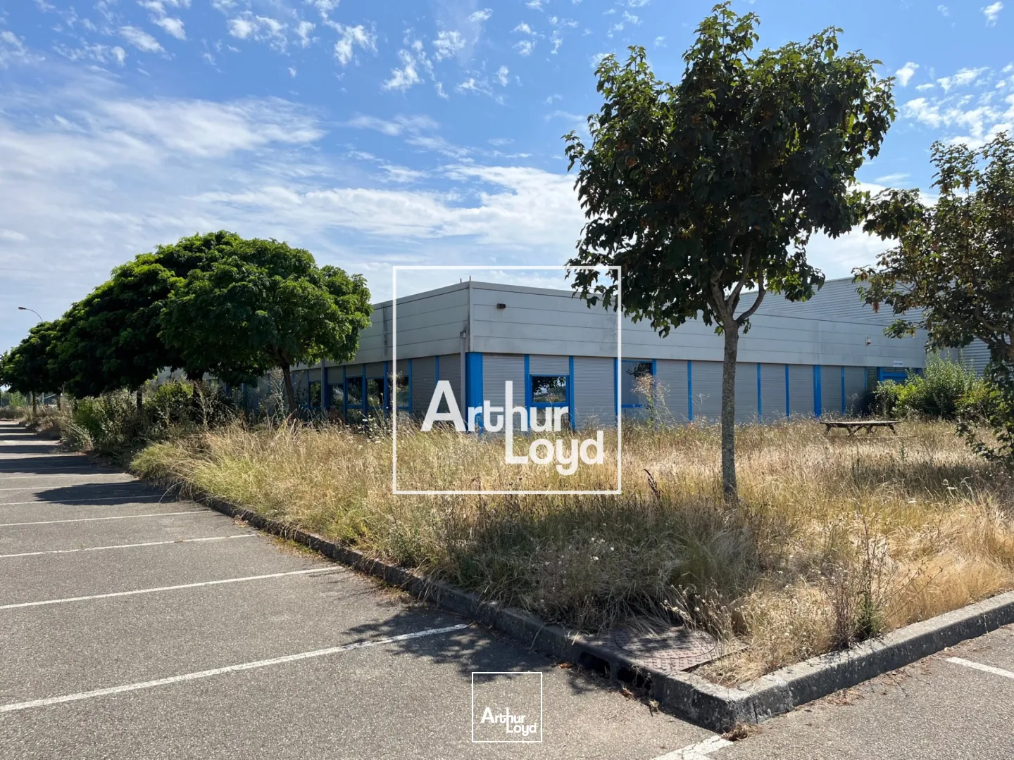 Locaux d'activité & Entrepôts - Location - MONTAUBAN - 82000 - 8529-8529 - 7768565