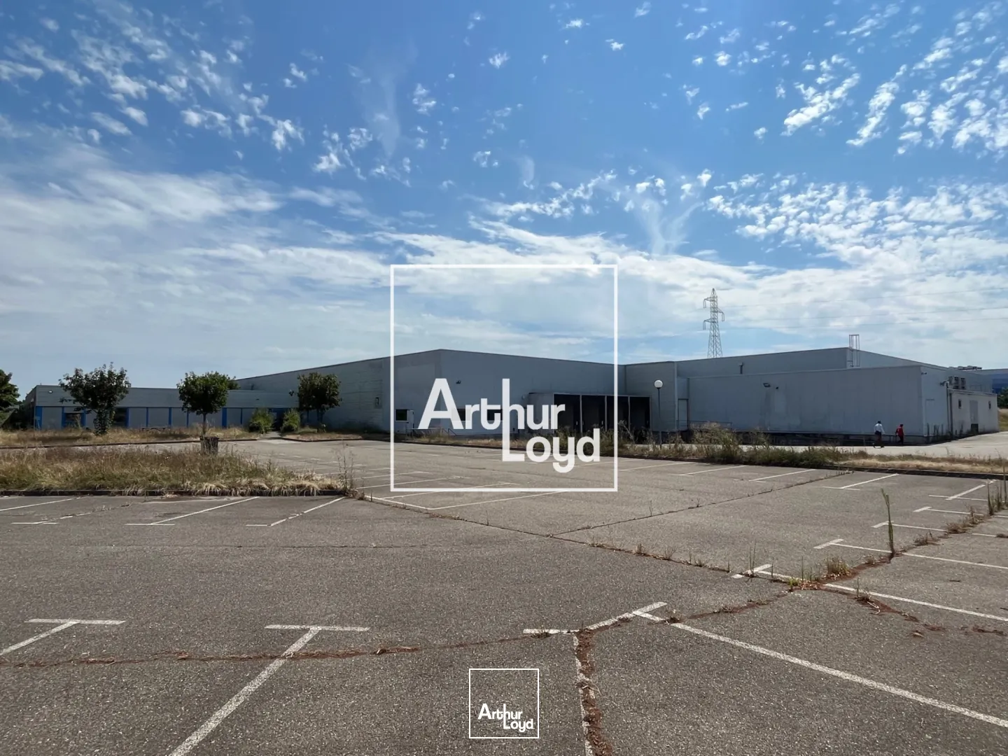 Locaux d'activité & Entrepôts - Location - MONTAUBAN - 82000 - 8529-8529 - 7768567
