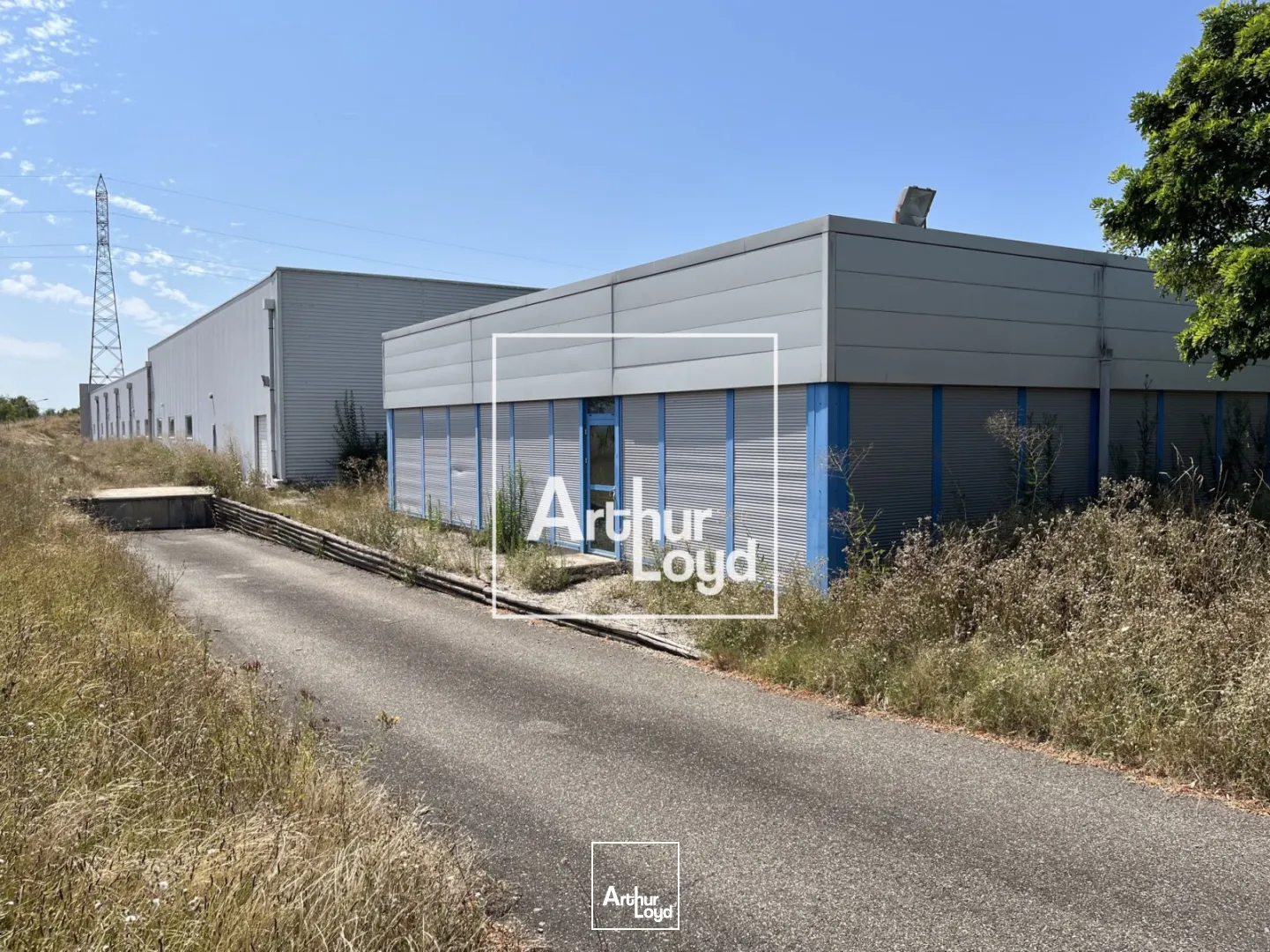 Locaux d'activité & Entrepôts - Location - MONTAUBAN - 82000 - 8529-8529 - 7768564