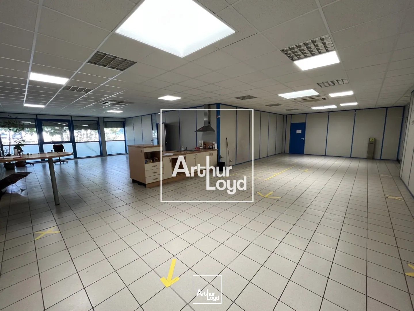 Locaux d'activité & Entrepôts - Location - MONTAUBAN - 82000 - 8529-8529 - 7768569
