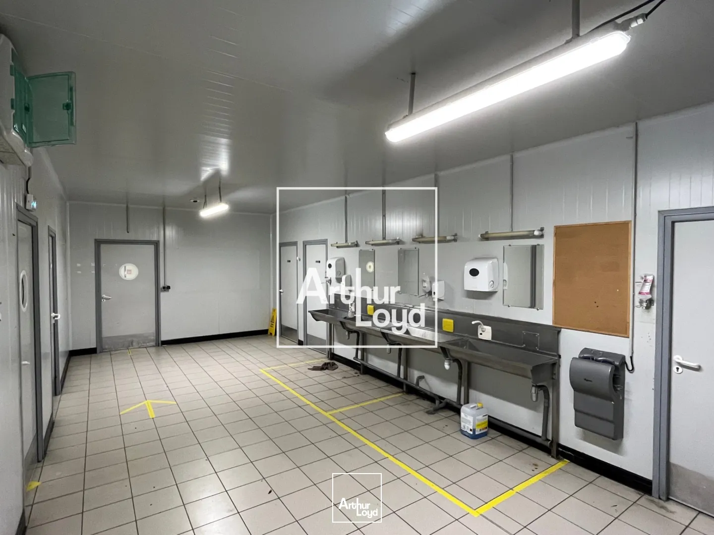 Locaux d'activité & Entrepôts - Location - MONTAUBAN - 82000 - 8529-8529 - 7768571