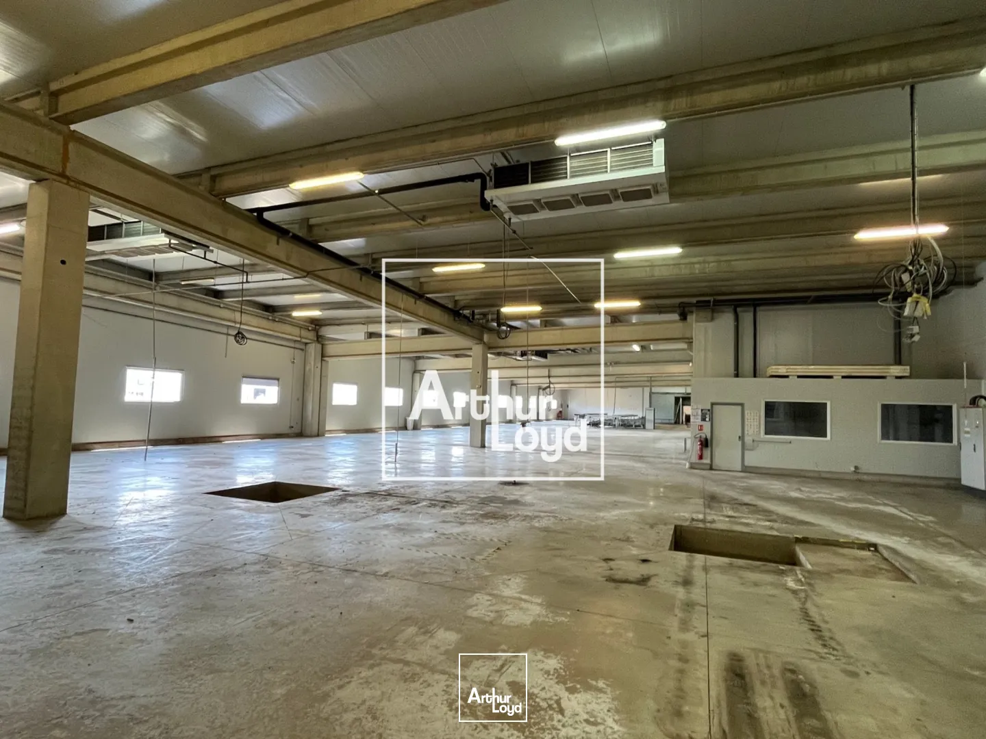 Locaux d'activité & Entrepôts - Location - MONTAUBAN - 82000 - 8529-8529 - 7768572