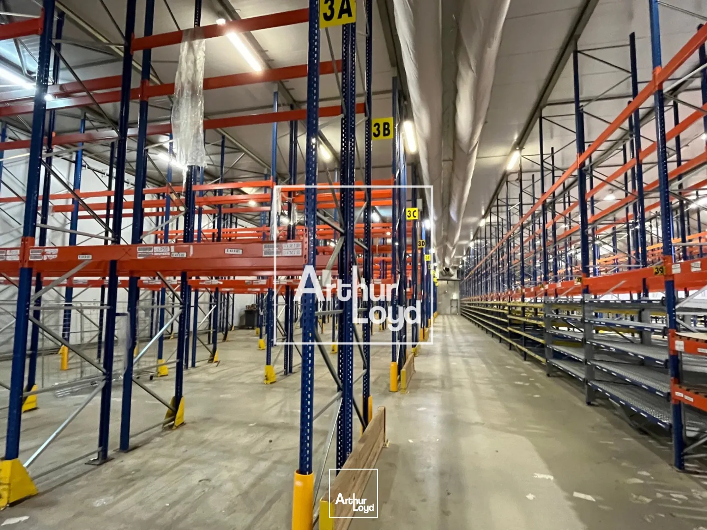 Locaux d'activité & Entrepôts - Location - MONTAUBAN - 82000 - 8529-8529 - 7768573