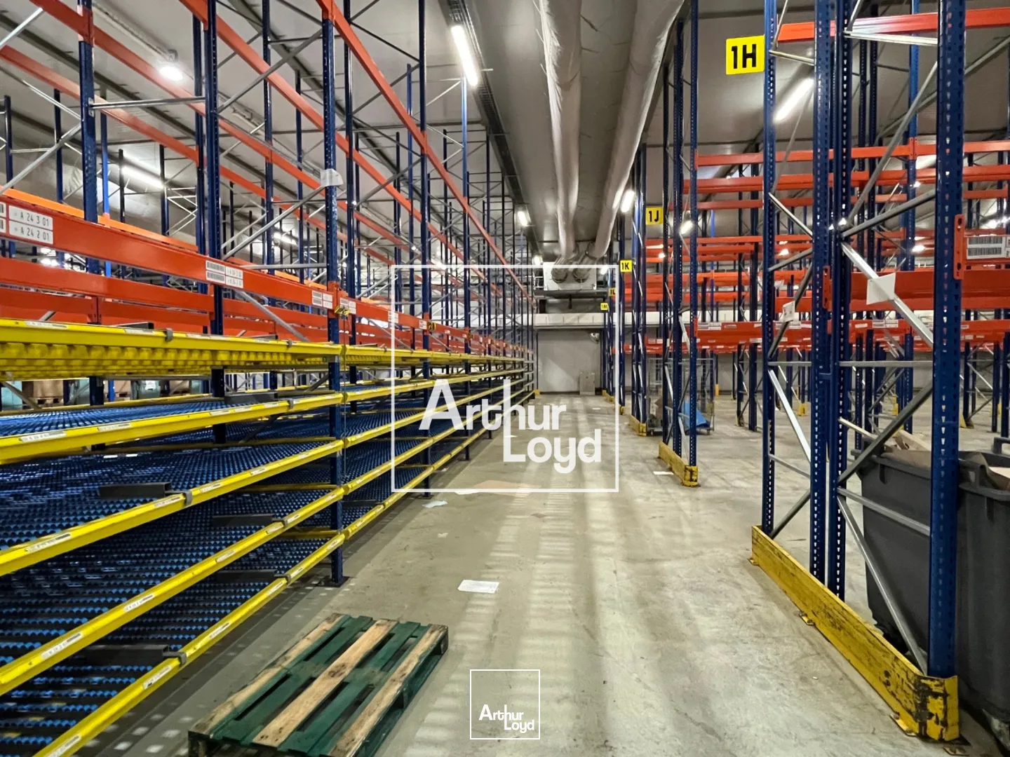 Locaux d'activité & Entrepôts - Location - MONTAUBAN - 82000 - 8529-8529 - 7768575
