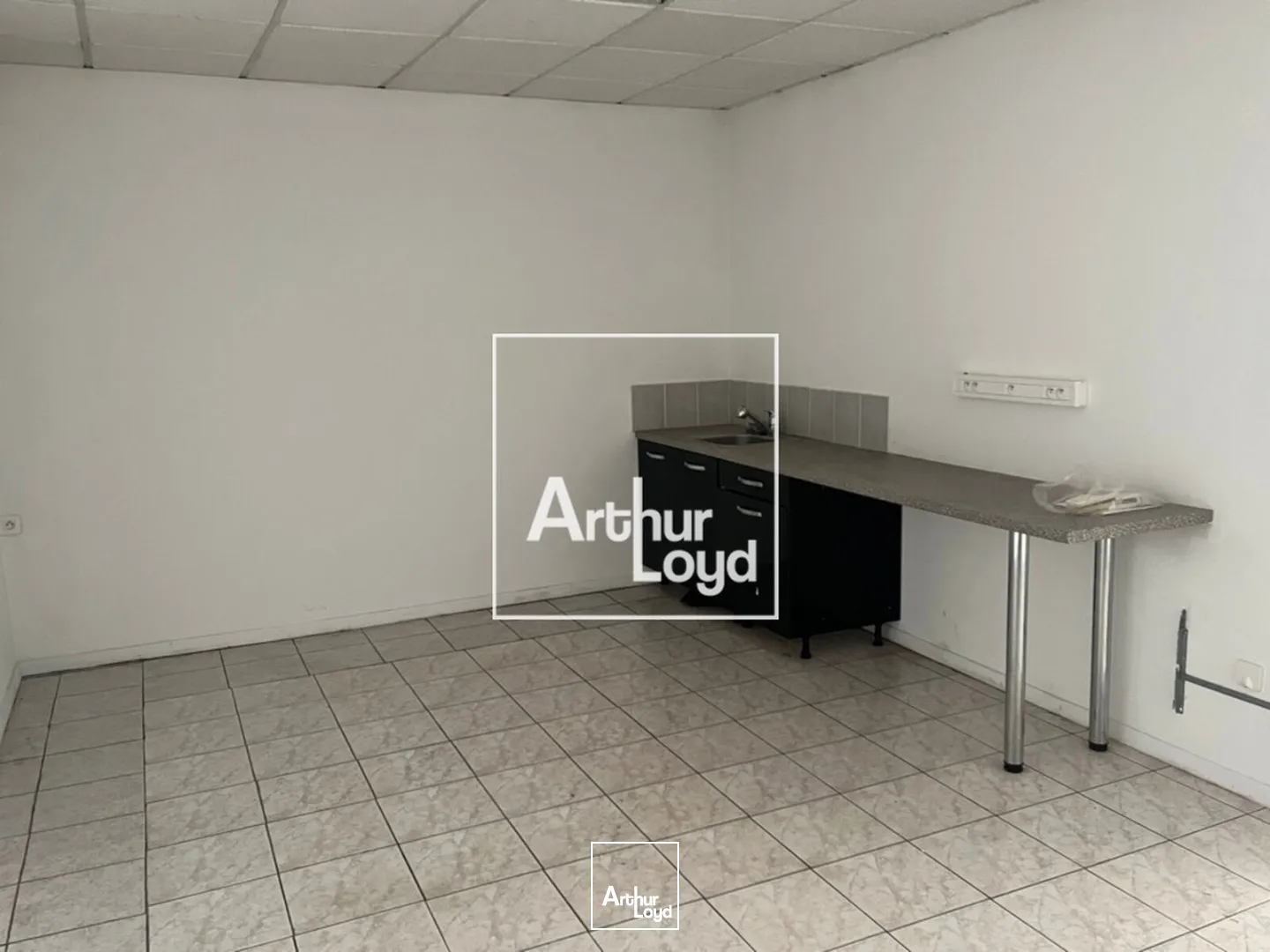 Locaux d'activité & Entrepôts - Location - SAINT ORENS DE GAMEVILLE - 31650 - 250-250 - 7768768