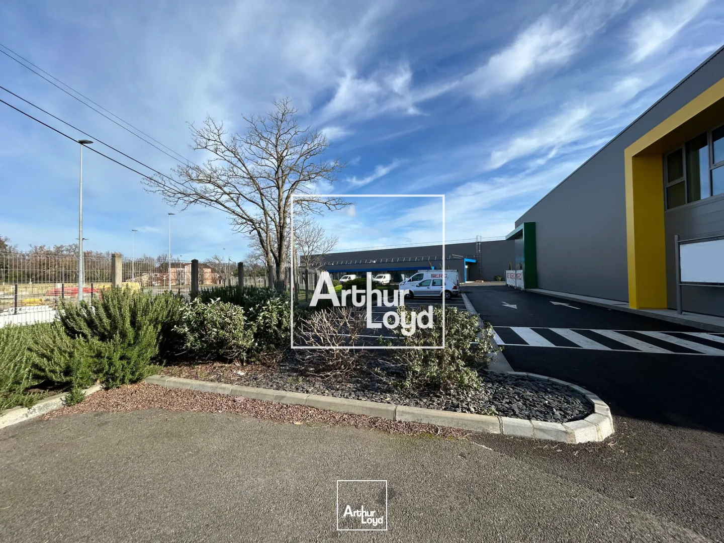 Locaux d'activité & Entrepôts - Location - COLOMIERS - 31770 - 537-537 - 7769054
