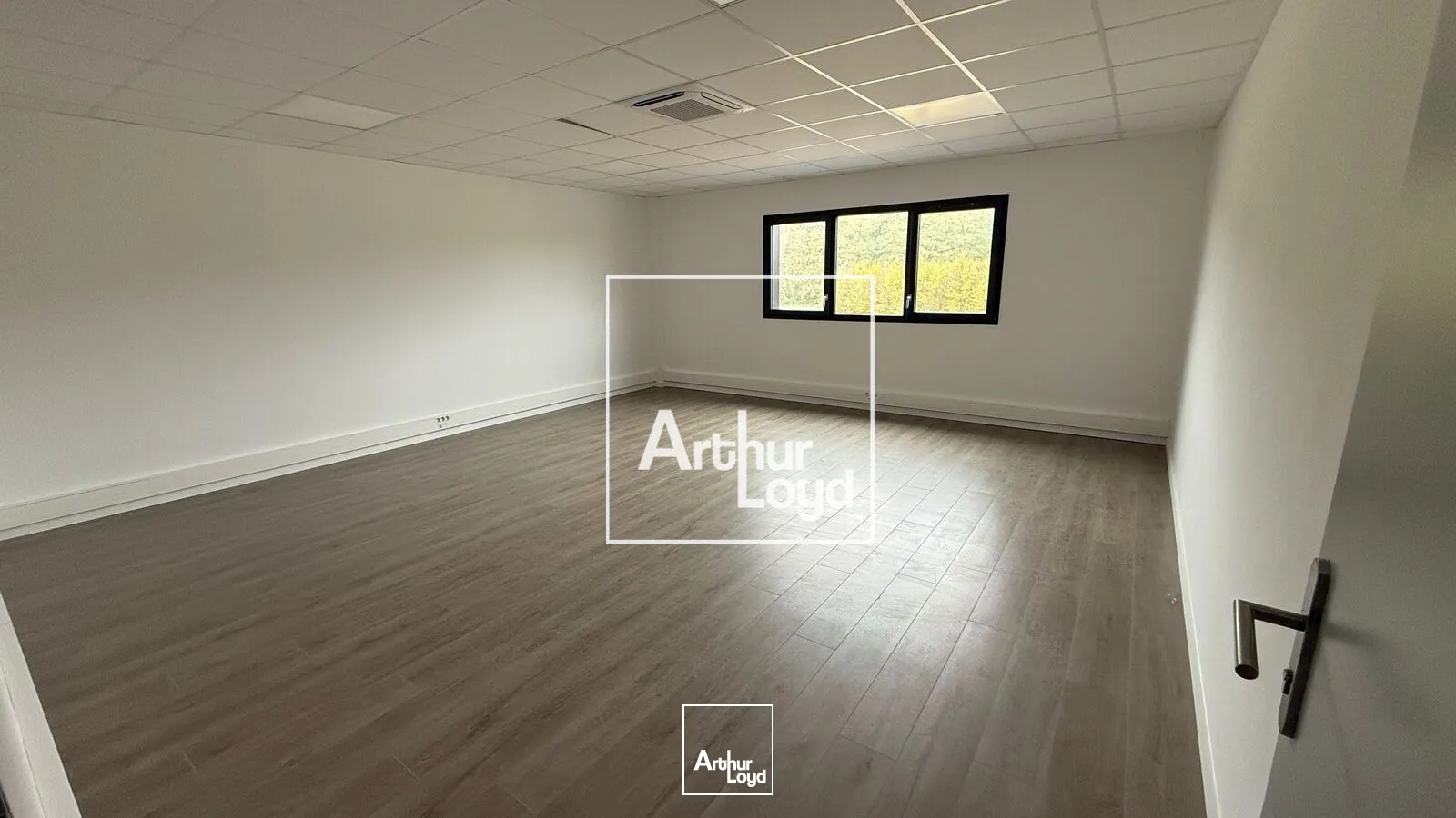 Locaux d'activité & Entrepôts - Location - ROQUES - 31120 - 350-350 - 7769323
