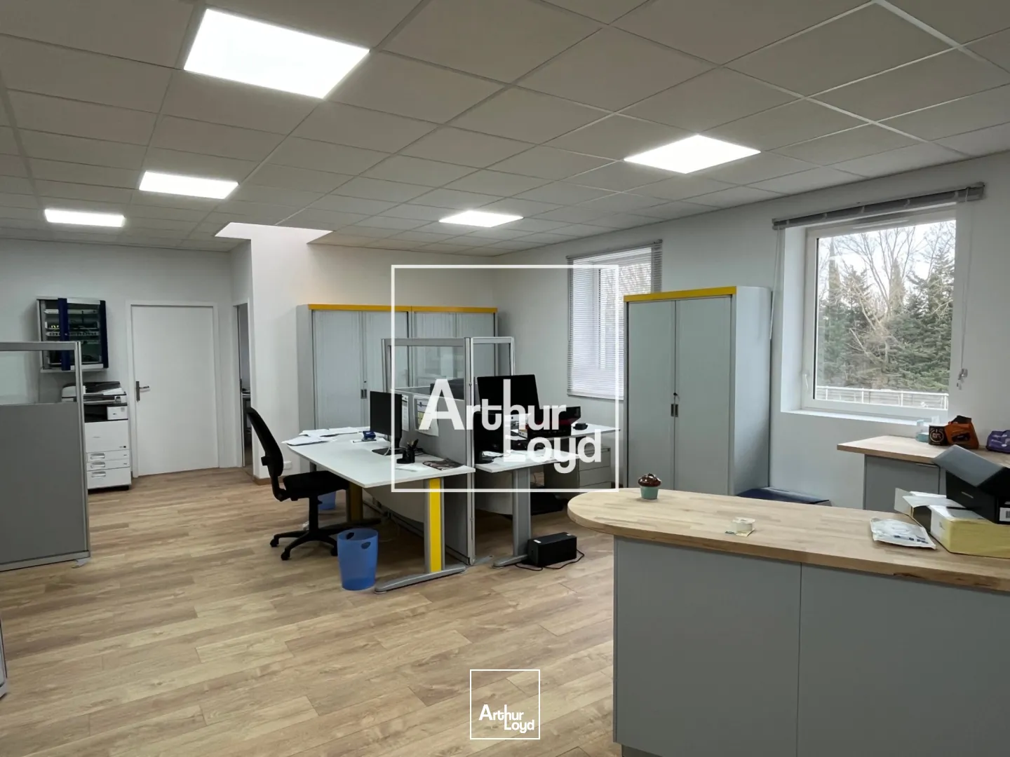 Locaux d'activité & Entrepôts - Vente - TOULOUSE - 31400 - 530-530 - 7769423