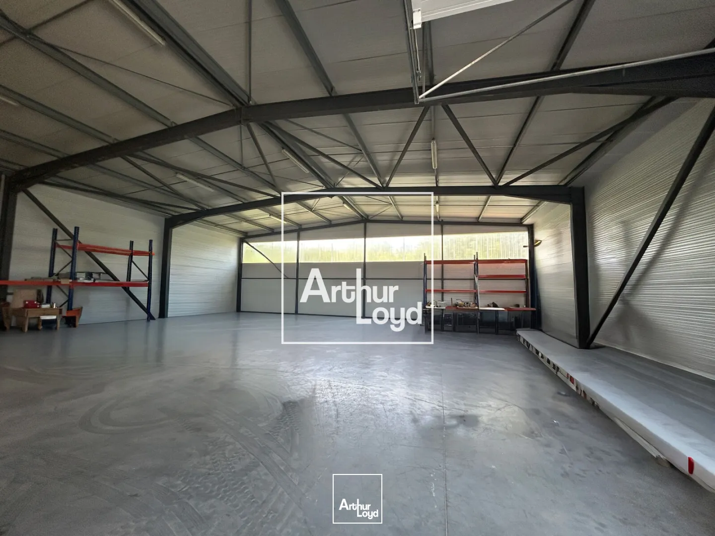 Locaux d'activité & Entrepôts - Vente - MONDOUZIL - 31850 - 665-665 - 7769494