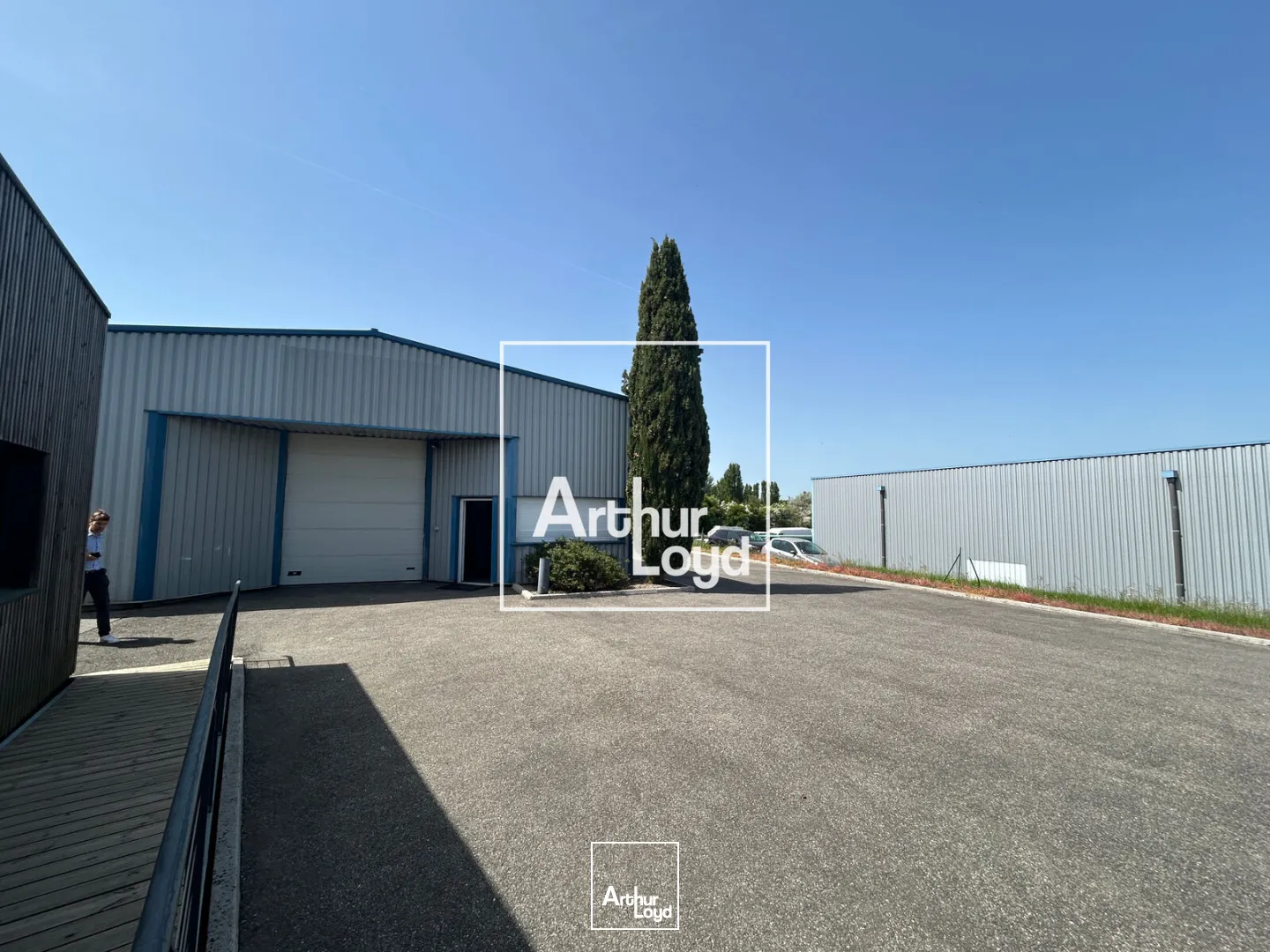 Locaux d'activité & Entrepôts - Vente - MONDOUZIL - 31850 - 665-665 - 7769491