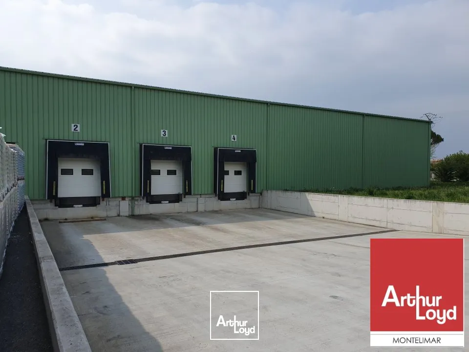 Locaux d'activité & Entrepôts - Location - BOLLENE - 84500 - 6350-6350 - 7769541