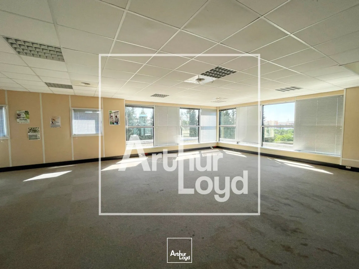 Bureaux - Location - MONTPELLIER - 34090 - 1190-1190 - 7770628