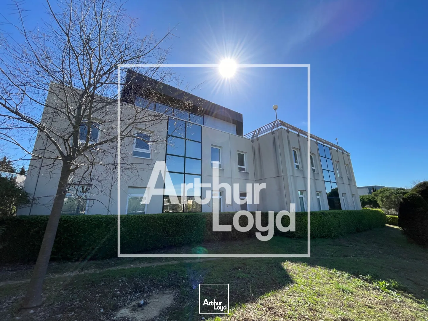 Bureaux - Location - MONTPELLIER - 34090 - 1190-1190 - 7770619