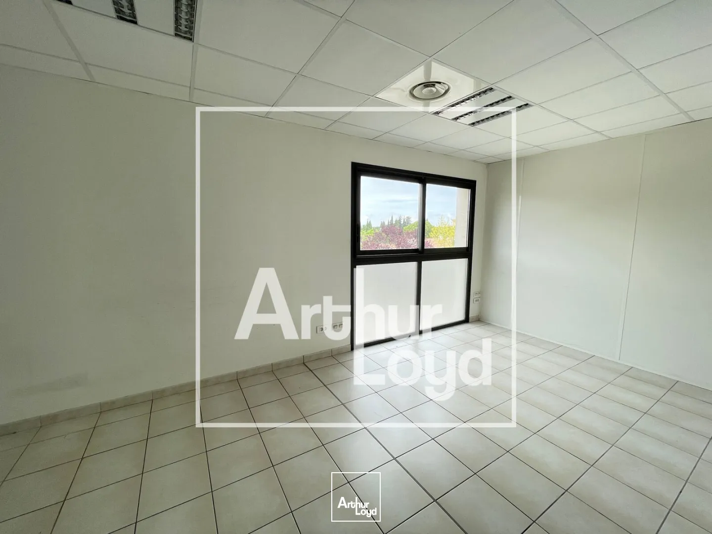 Bureaux - Location - LATTES - 34970 - 800-800 - 7770635