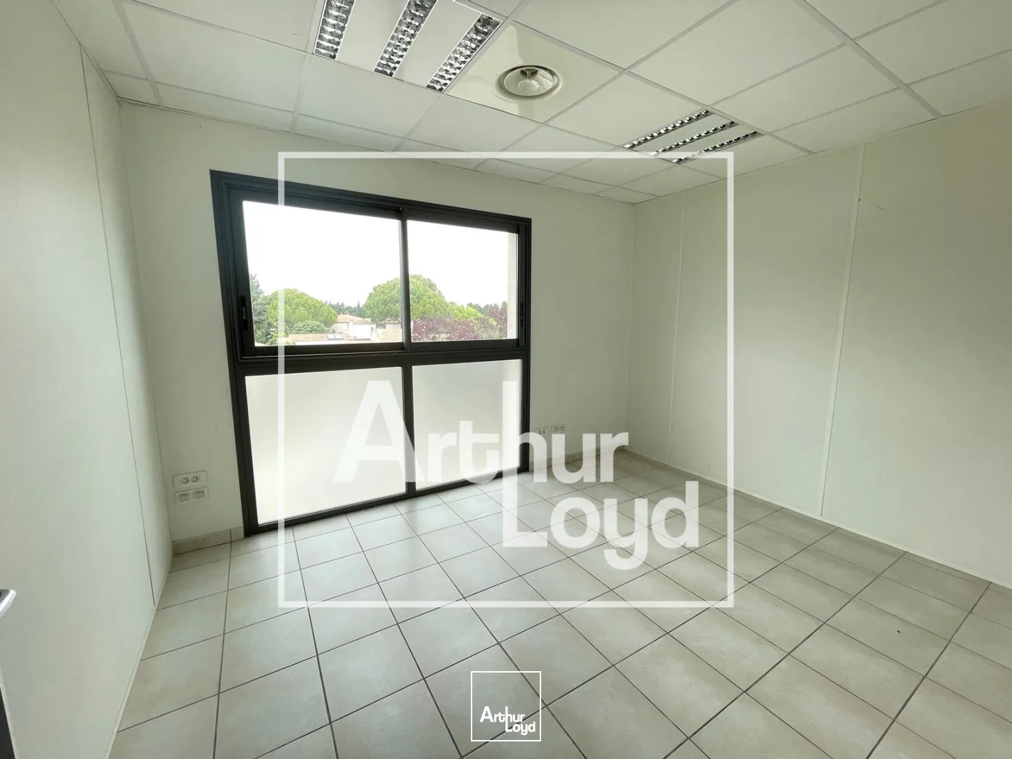 Bureaux - Location - LATTES - 34970 - 800-800 - 7770637