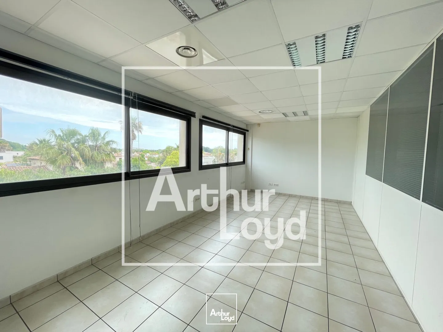 Bureaux - Location - LATTES - 34970 - 800-800 - 7770639