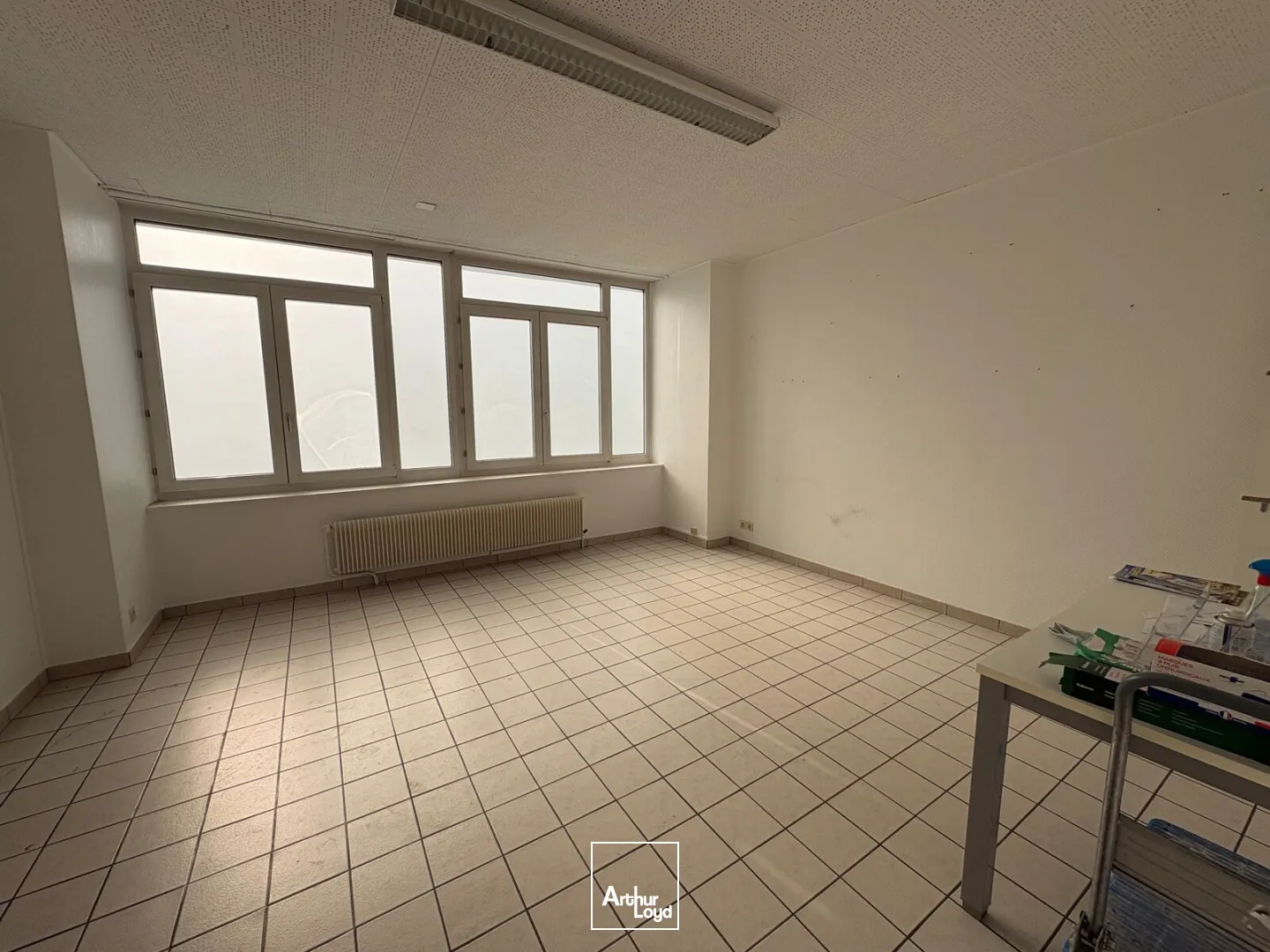 Bureaux - Vente - SAINT JEAN LE BLANC - 45650 - 207.84-207.84 - 7771144